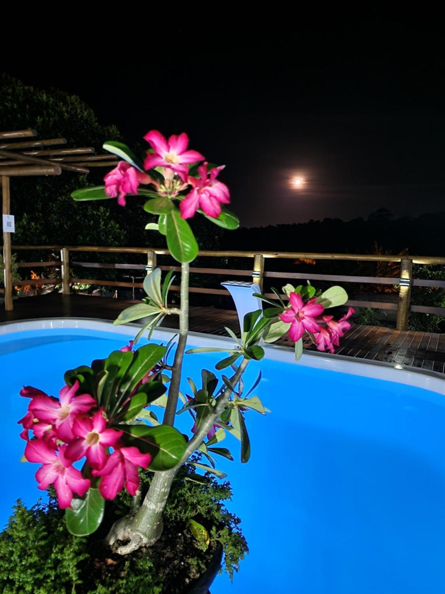 Pousada Canto Do Sabia Piúma Dış mekan fotoğraf